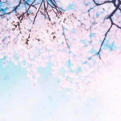还魂门手游公益服下载