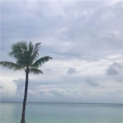 生存沙盒手机游戏下载
