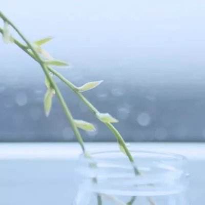 跳跃忍者大战破解版中文版下载
